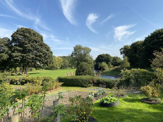 Early morning, on Esholt Lane ©derek oldfield - stock.adobe.com Early morning, on Esholt Lane