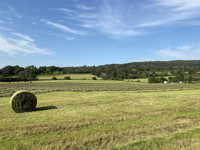 Near Esholt ©derek oldfield - stock.adobe.com Near Esholt