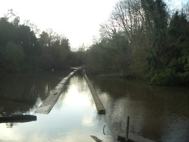 Cress Beds, Letcombe Brook © Dave Pike Cress Beds, Letcombe Brook © Dave Pike