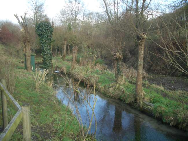 Letcombe Brook © Dave Pike Letcombe Brook © Dave Pike