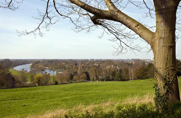 View from Richmond Hill ©Shutterstock /chrisdorney View from Richmond Hill