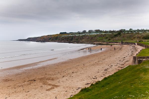 The Beach ©Shutterstock /Mihail Jershov Deserted beach at St Andrews, Scotland