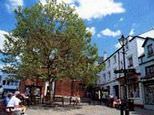 Bridport