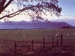 Skipness