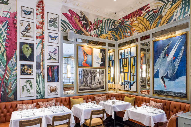 The Ivy in the Lanes