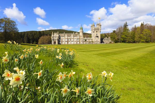 Balmoral Castle on a sunny day, with daffodils in the foreground