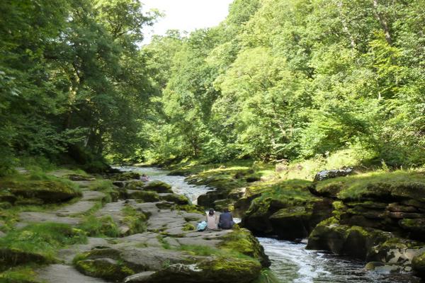 The Strid