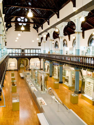 Main Hall, Hunterian Museum