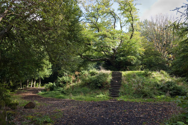 Woodland Walk in Pollok Park