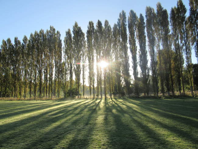 Poplar Sunset in Fletcher Moss Park