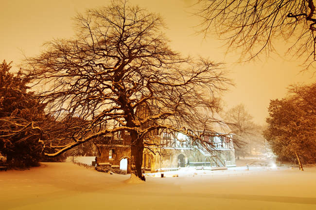 York Museum Gardens - Hospitium