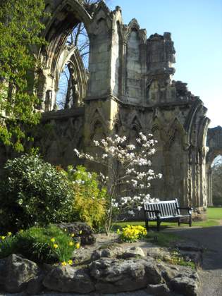 York Museum Gardens - Abbey Ruins