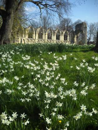 York Museum Gardens 