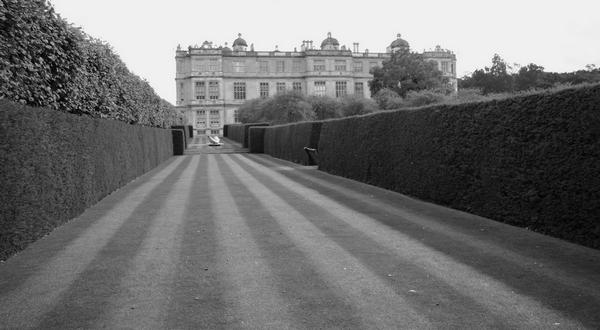 Black and white photo of striped grass between hedges, the Long Garden, Longleat