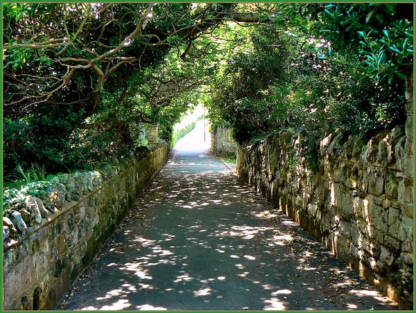 Sandown to Shanklin Clifftop Walk