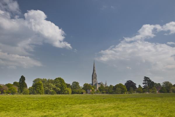 Looking towards Salisbury Cathedral. ©Shutterstock / julian elliott View across the water meadows to Salisbury Cathedral.