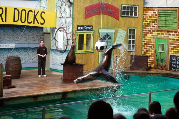 Knowsley Safari Park