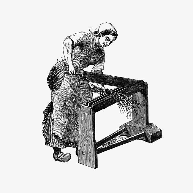 Woman Working With Scutcher Machine