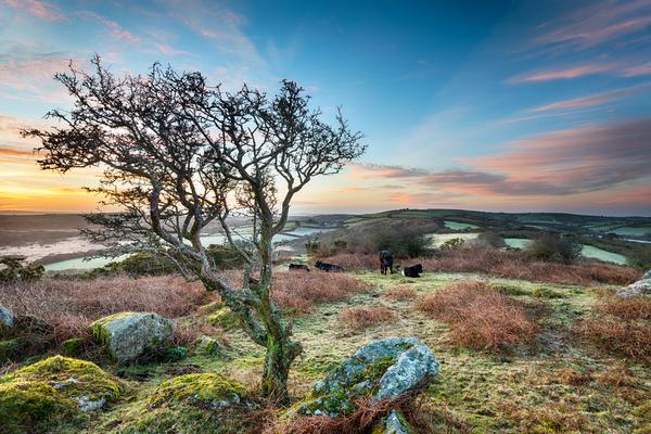 A frosty March sunrise at Helman Tor near Bodmin in Cornwall