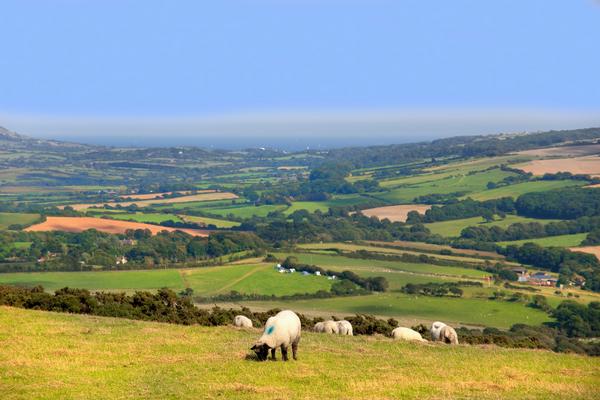View over Dorset countryside from Whiteways Hill on army training ground in dorset