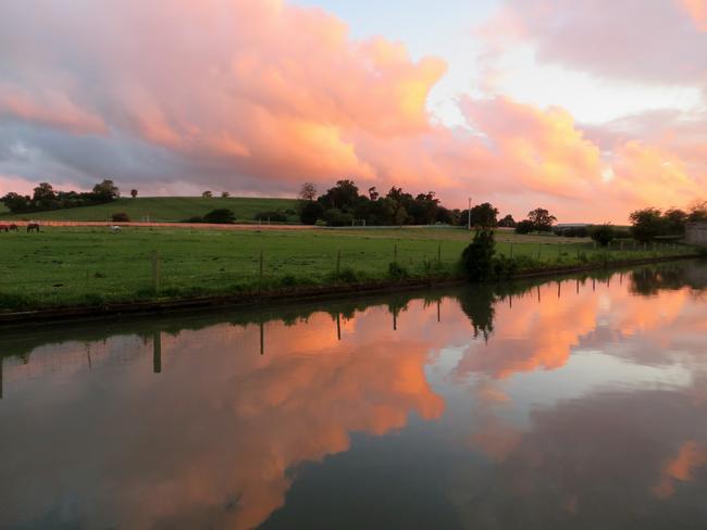 Field of Horses and Sunset