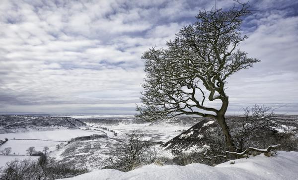 View in winter showing the snow covered rugged landscapenear the villages of Goathland and Levisham