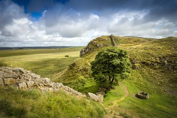 Sycamore Gap on Hadrians wall in northumberland