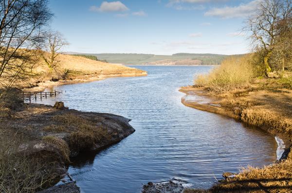 Kielder Water inlet with forest in the background