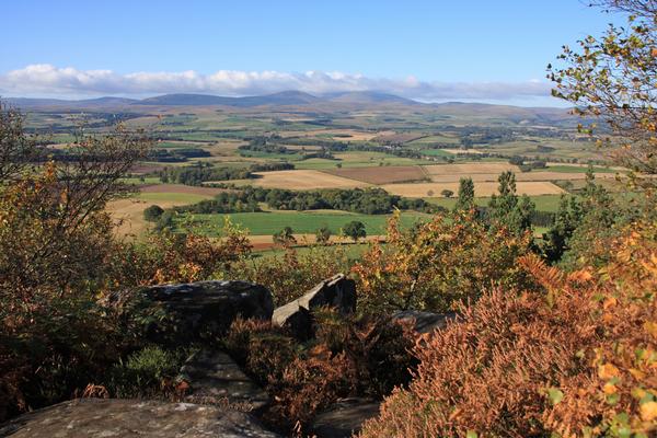View to the Northumbrian Cheviot Hills in sunny autumn