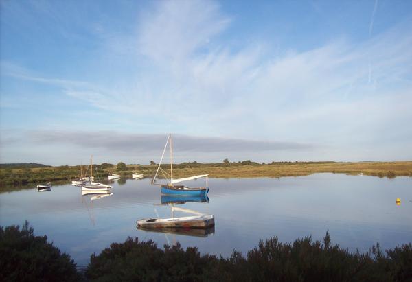 Morning on the Norfolk Coast