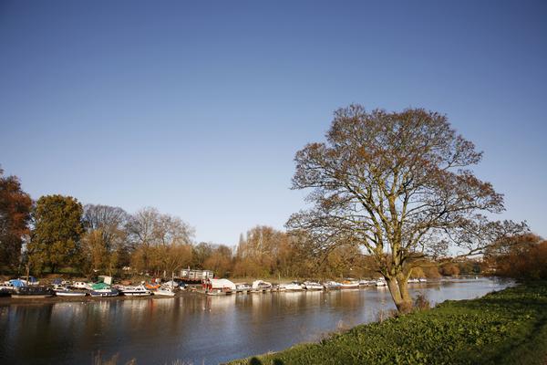 Thames River View between Kingston Upon Thames and Richmond