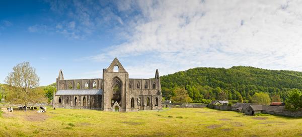 Majestic ancient ruins of Tintern Abbey on the Welsh bank of the River Wye in Monmouthshire.