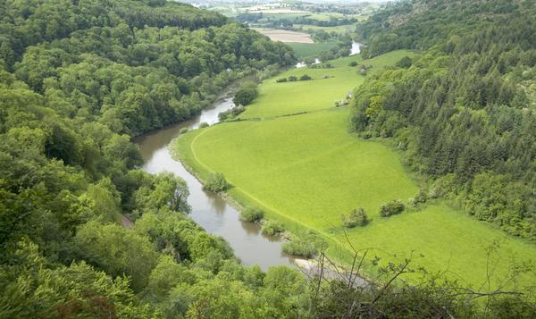 View of the valley of the River Wye from Symonds Yat Rock, Herefordshire