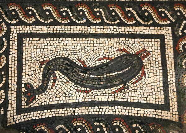 Roman Mosaic of a dolphin at Bignor Roman Villa, Sussex