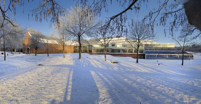 Burrell Collection in Snow