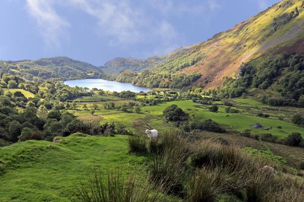 View of Llyn Gwynant in Snowdonia, Gwynedd