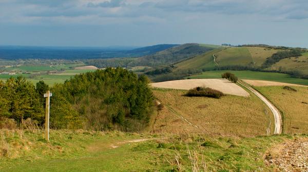 South Downs Way