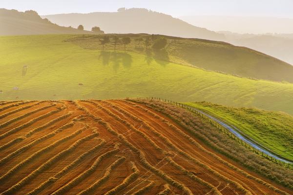 View from the South Downs Way footpath