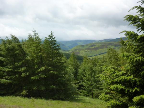 St Mary's Loch in the distance