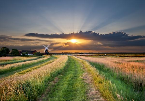 A traditional windmill pump on the Bure Marshes of the Norfolk Broads