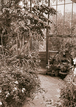 East Ruston Old Vicarage Greenhouse