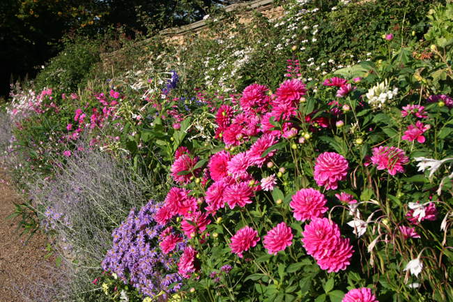 Harewood Terrace Border