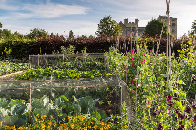 Helmsley Walled Garden - The Kitchen Garden