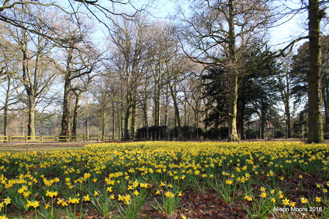 Tatton Park