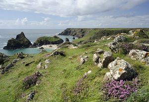 &copy;NTPL/Ross Hoddinott