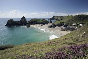 &copy;NTPL/Ross Hoddinott