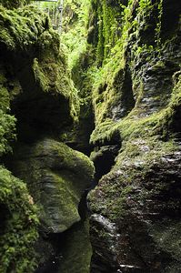 &copy;NTPL/John Millar