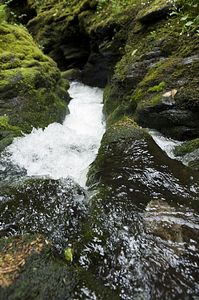 &copy;NTPL/John Millar