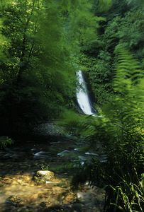 &copy;NTPL/David Noton