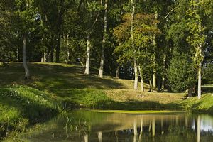 &copy;NTPL/Paul Harris